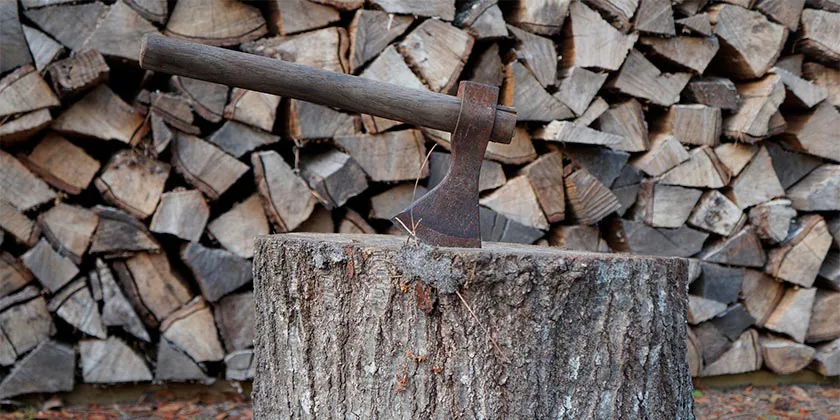 Підозра: жінка вбила дитину та прийшла до торговельного центру в Герцлії з сокирою