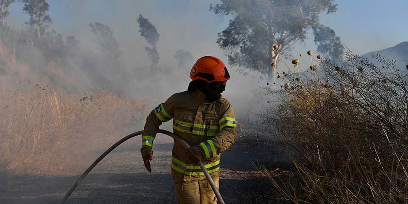Фото: Гіль Еліягу