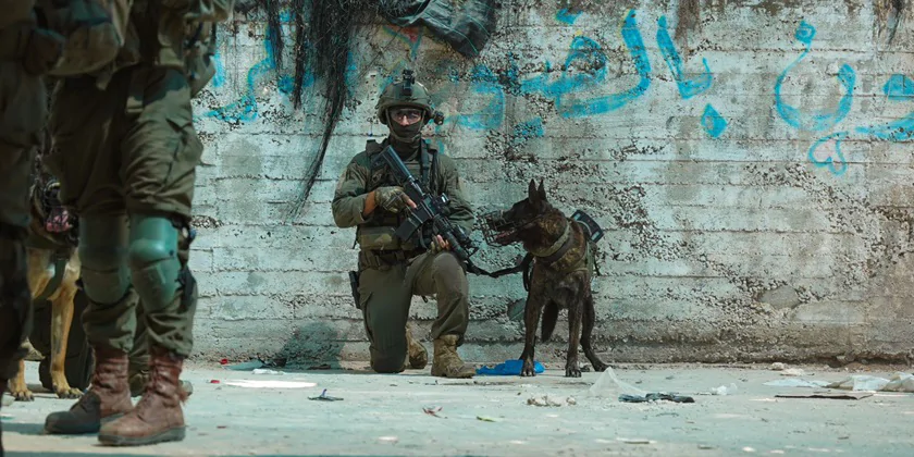 Мечеть-майстерня бомб: що знайшли військові на Західному березі (відео)