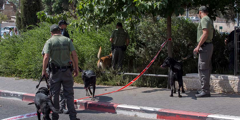 У Хайфі доглядальниця обікрала інваліда на сотні тисяч шекелів