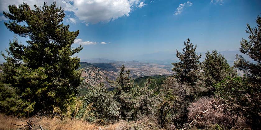 ЦАХАЛ: території біля прикордонної огорожі в Галілеї — закриті зони