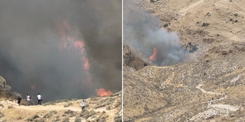 Пожежа в заповіднику Нахаль-Прат: туристів евакуюють із зони лиха