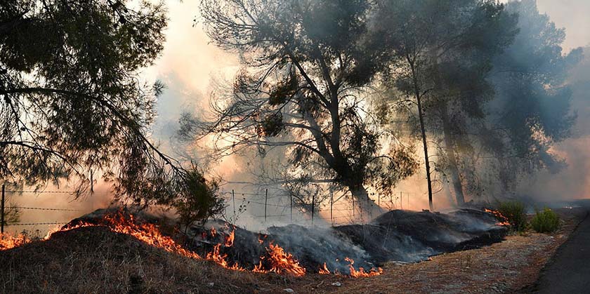 Пожежі: останні оновлення. Згорів парк «Канада», сильно постраждав монастир Еммаус у Латруні