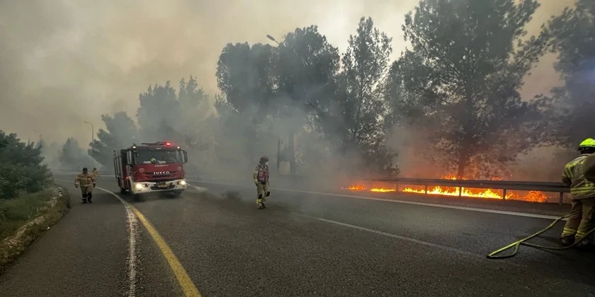Зростають побоювання: деякі пожежі могли бути спричинені підпалами
