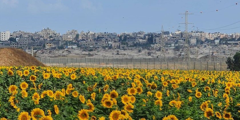 Звіт: 90% жителів околиць сектору Газа повернулися додому