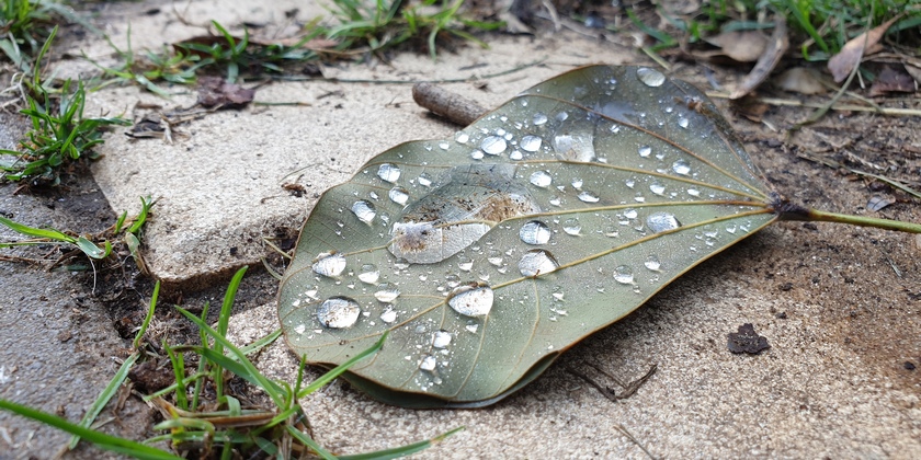 Синоптики повідомили, коли слід очікувати перших зимових дощів