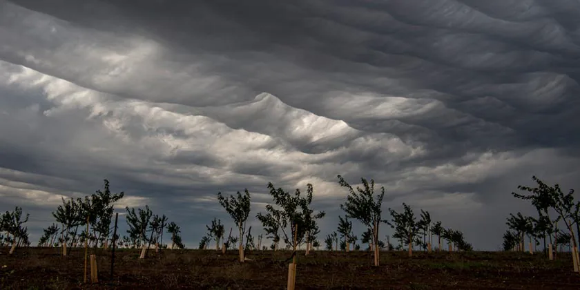 На Ізраїль обрушиться злива з грозами